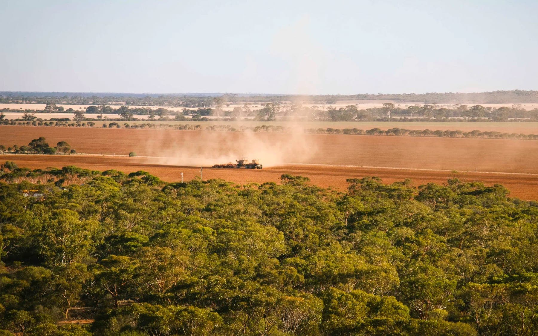 Wide view of Country in the Western Australian Wheatbelt under an open sky