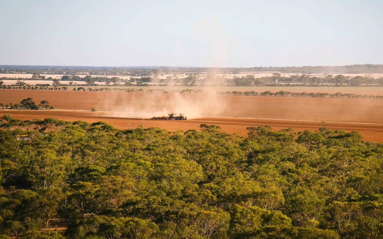 Wheatbelt farmland at Narembeen where Benang replaced the Farmlands water main